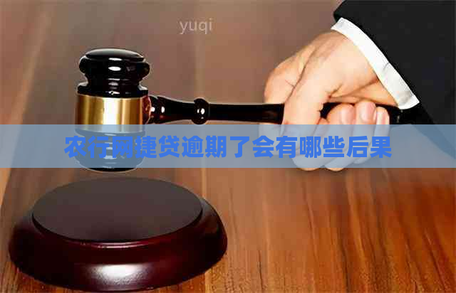 农行网捷贷逾期了会有哪些后果