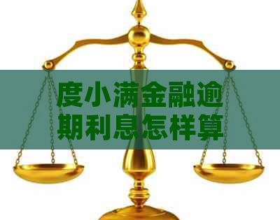 度小满金融逾期利息怎样算详细解析