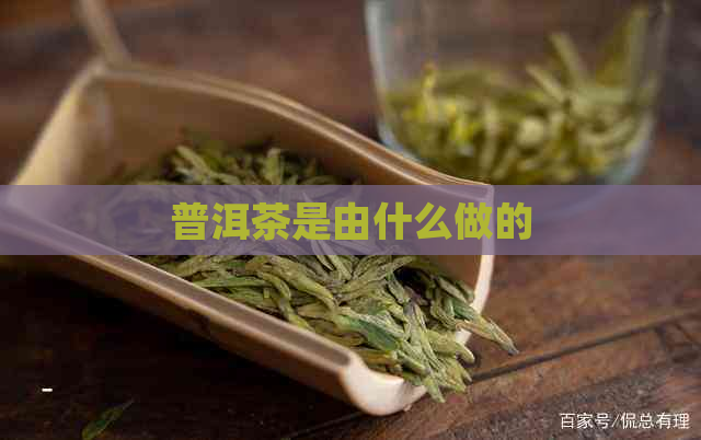 普洱茶是由什么做的