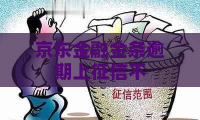 京东金融金条逾期上不