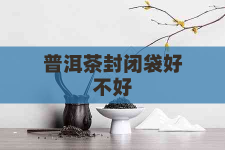 普洱茶封闭袋好不好