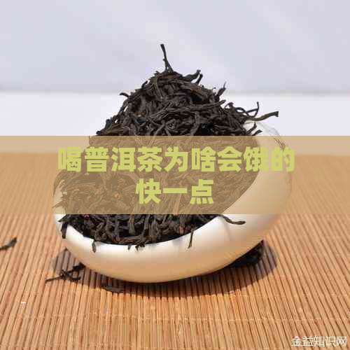 喝普洱茶为啥会饿的快一点