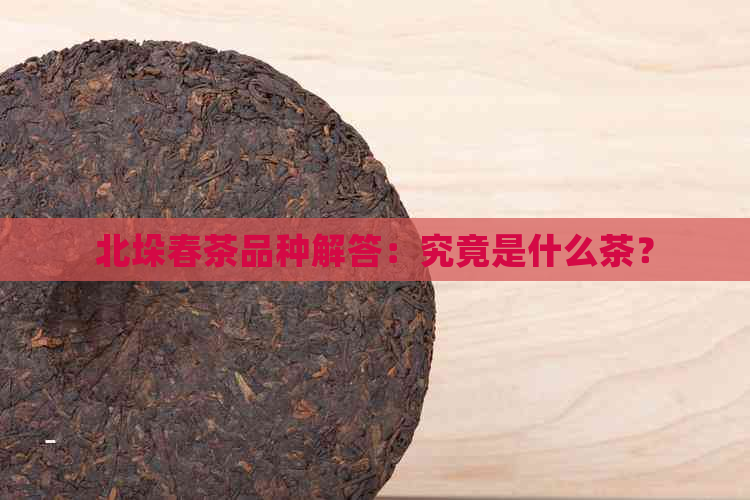 北垛春茶品种解答：究竟是什么茶？