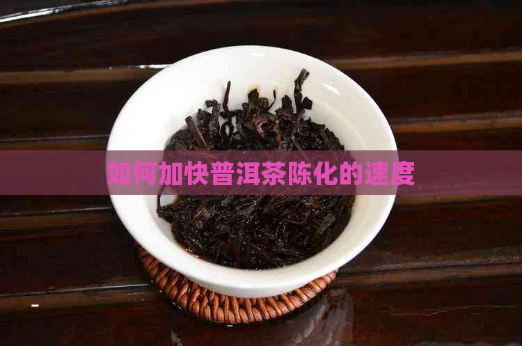 如何加快普洱茶陈化的速度