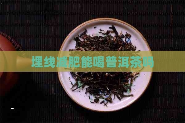 埋线减肥能喝普洱茶吗