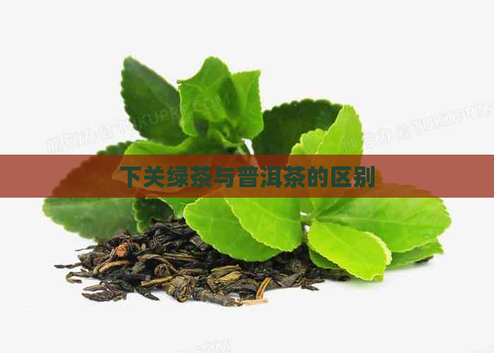 下关绿茶与普洱茶的区别