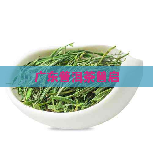 广东普洱茶曾启