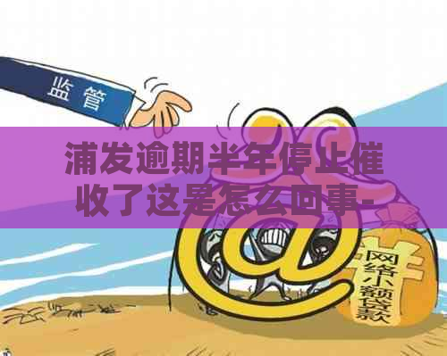 浦发逾期半年停止了这是怎么回事-浦发逾期半年停止了这是怎么回事啊