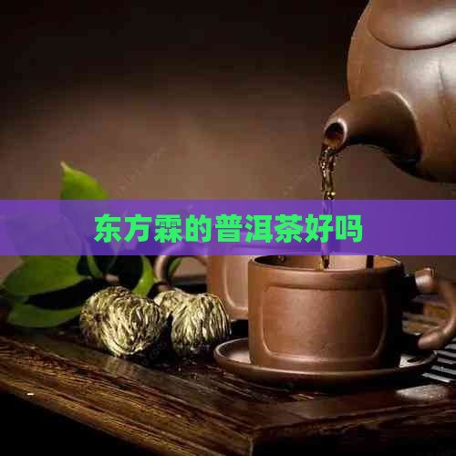 东方霖的普洱茶好吗