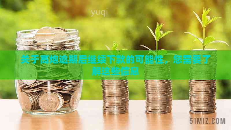 关于高炮逾期后继续下款的可能性，您需要了解这些信息