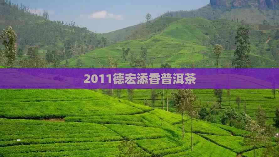 2011德宏添香普洱茶