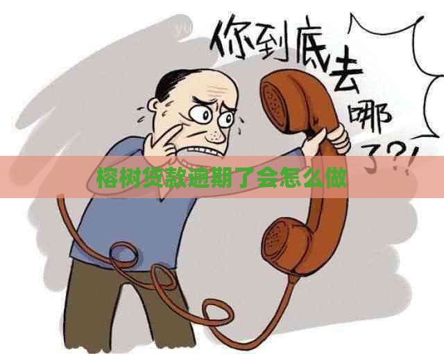 榕树贷款逾期了会怎么做