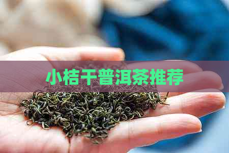 小桔干普洱茶推荐