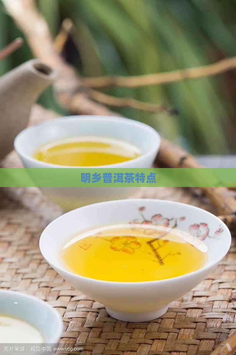 明乡普洱茶特点