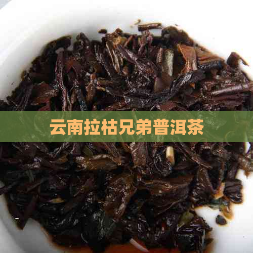 云南拉枯兄弟普洱茶