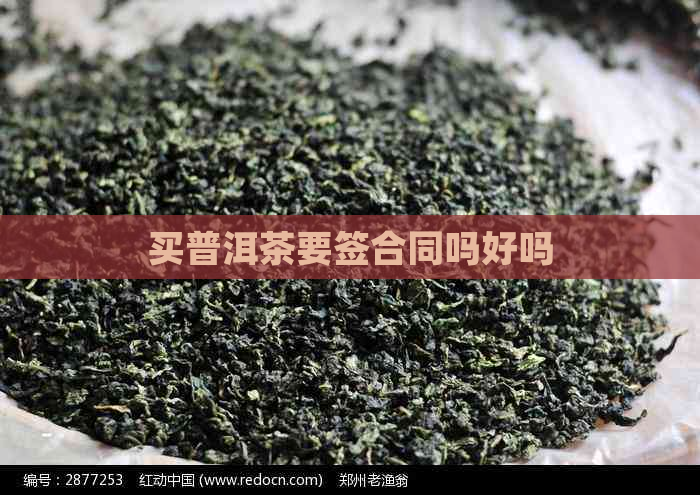 买普洱茶要签合同吗好吗