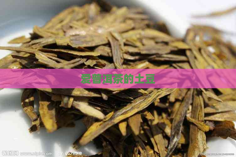 爱普洱茶的土豆