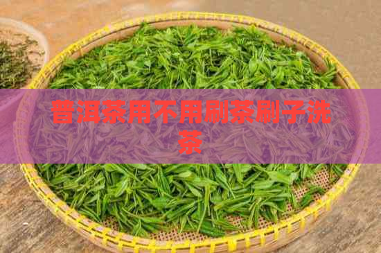 普洱茶用不用刷茶刷子洗茶