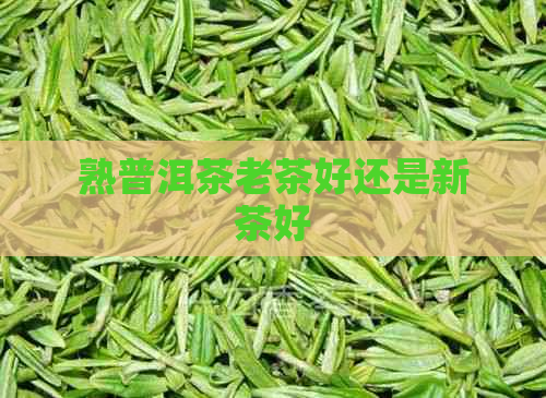 熟普洱茶老茶好还是新茶好