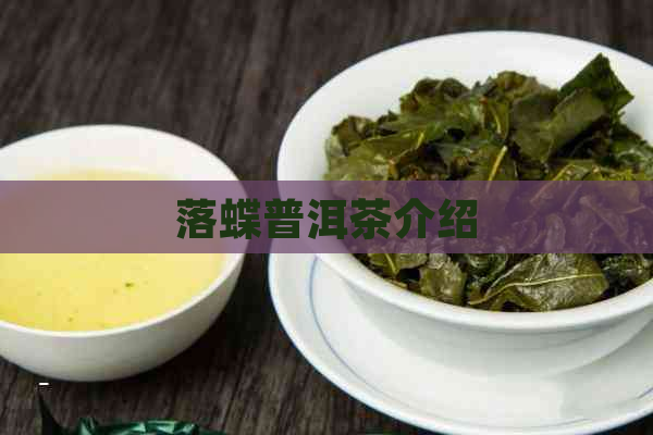 落蝶普洱茶介绍