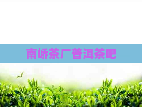 南峤茶厂普洱茶吧