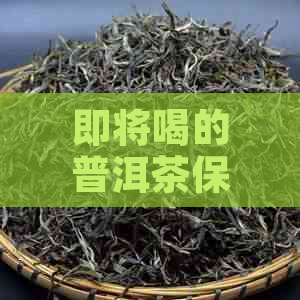 即将喝的普洱茶保存