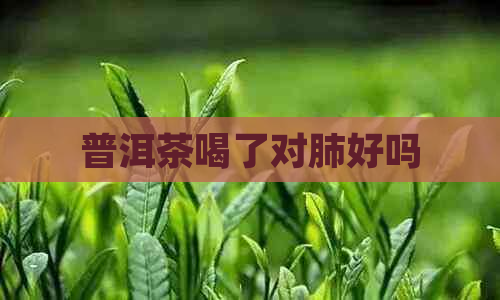 普洱茶喝了对肺好吗