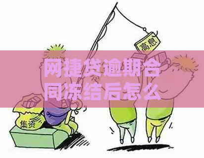 网捷贷逾期合同冻结后怎么解冻