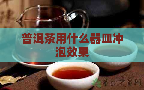 普洱茶用什么器皿冲泡效果