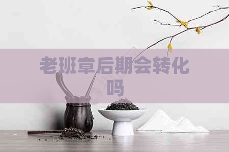 老班章后期会转化吗