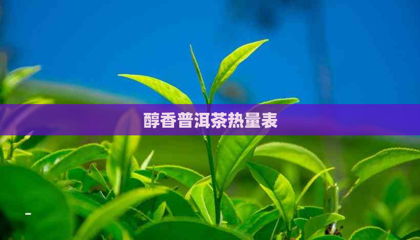 醇香普洱茶热量表