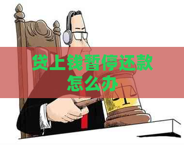 贷上钱暂停还款怎么办