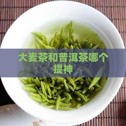 大麦茶和普洱茶哪个提神