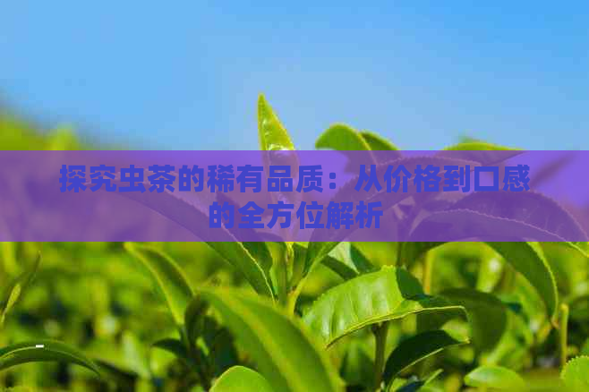 探究虫茶的稀有品质：从价格到口感的全方位解析