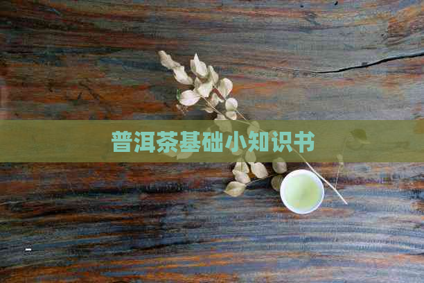 普洱茶基础小知识书