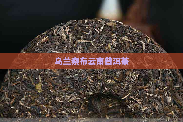 乌兰察布云南普洱茶