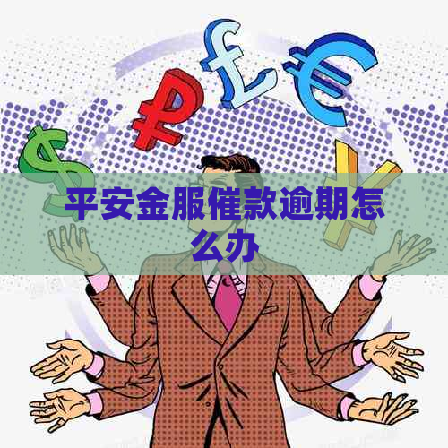 平安金服催款逾期怎么办