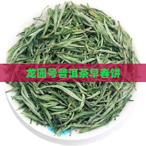 龙园号普洱茶早春饼