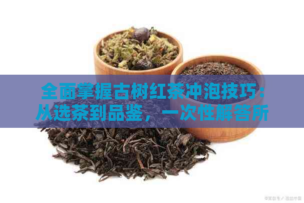 全面掌握古树红茶冲泡技巧：从选茶到品鉴，一次性解答所有疑问！