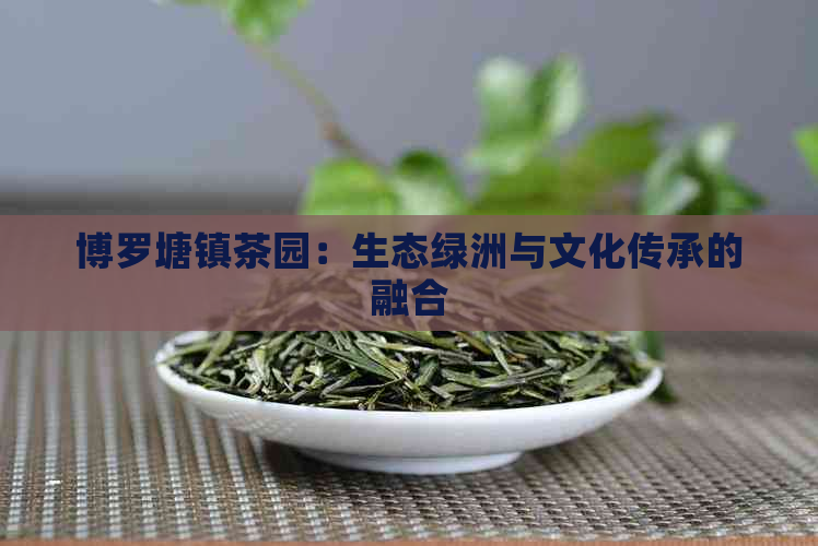 博罗塘镇茶园：生态绿洲与文化传承的融合