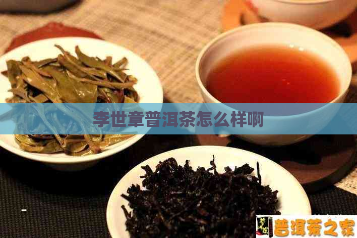 李世章普洱茶怎么样啊