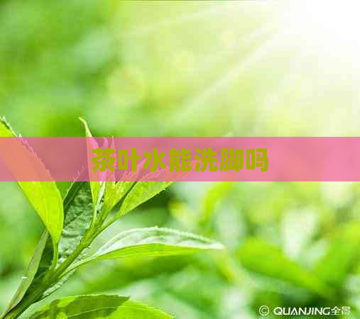 茶叶水能洗脚吗