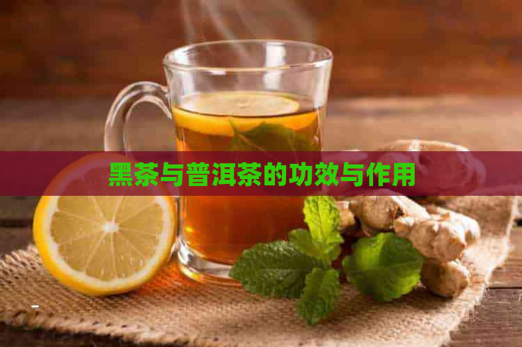 黑茶与普洱茶的功效与作用