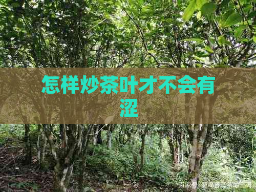 怎样炒茶叶才不会有涩