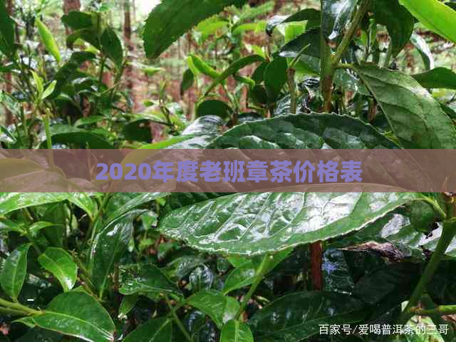 2020年度老班章茶价格表