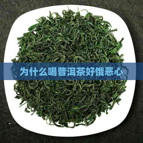 为什么喝普洱茶好饿恶心