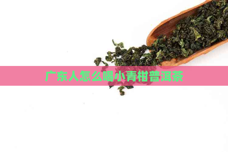 广东人怎么喝小青柑普洱茶