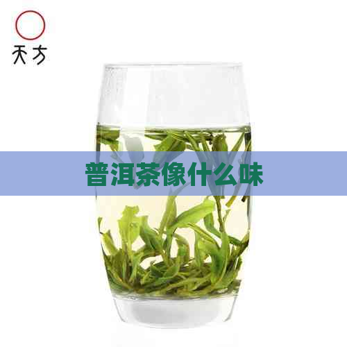 普洱茶像什么味