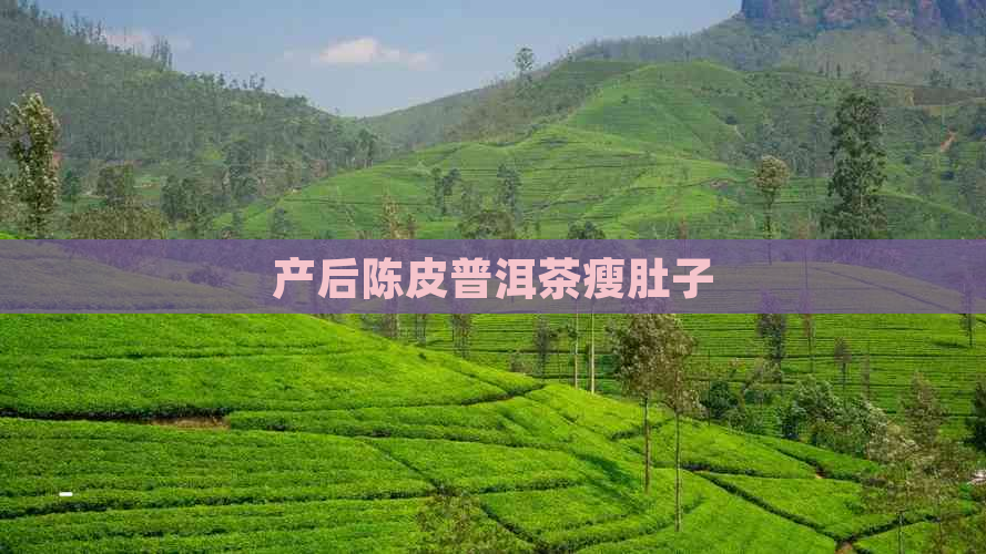 产后陈皮普洱茶瘦肚子