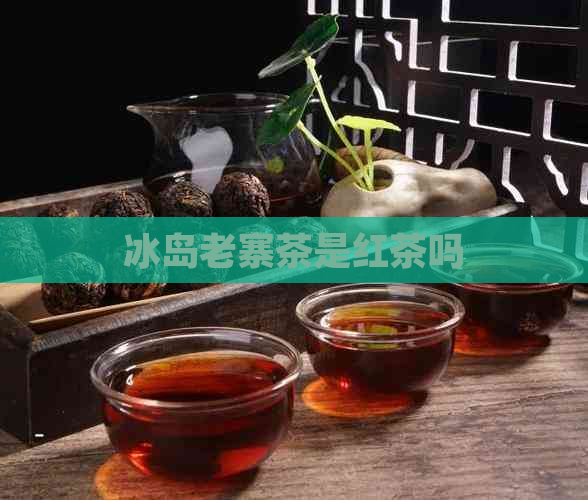 冰岛老寨茶是红茶吗